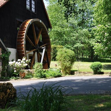 Landgasthof Geiersmuehle Vielbrunn Buitenkant foto