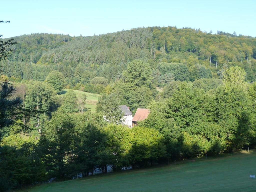 Landgasthof Geiersmuehle Vielbrunn Buitenkant foto
